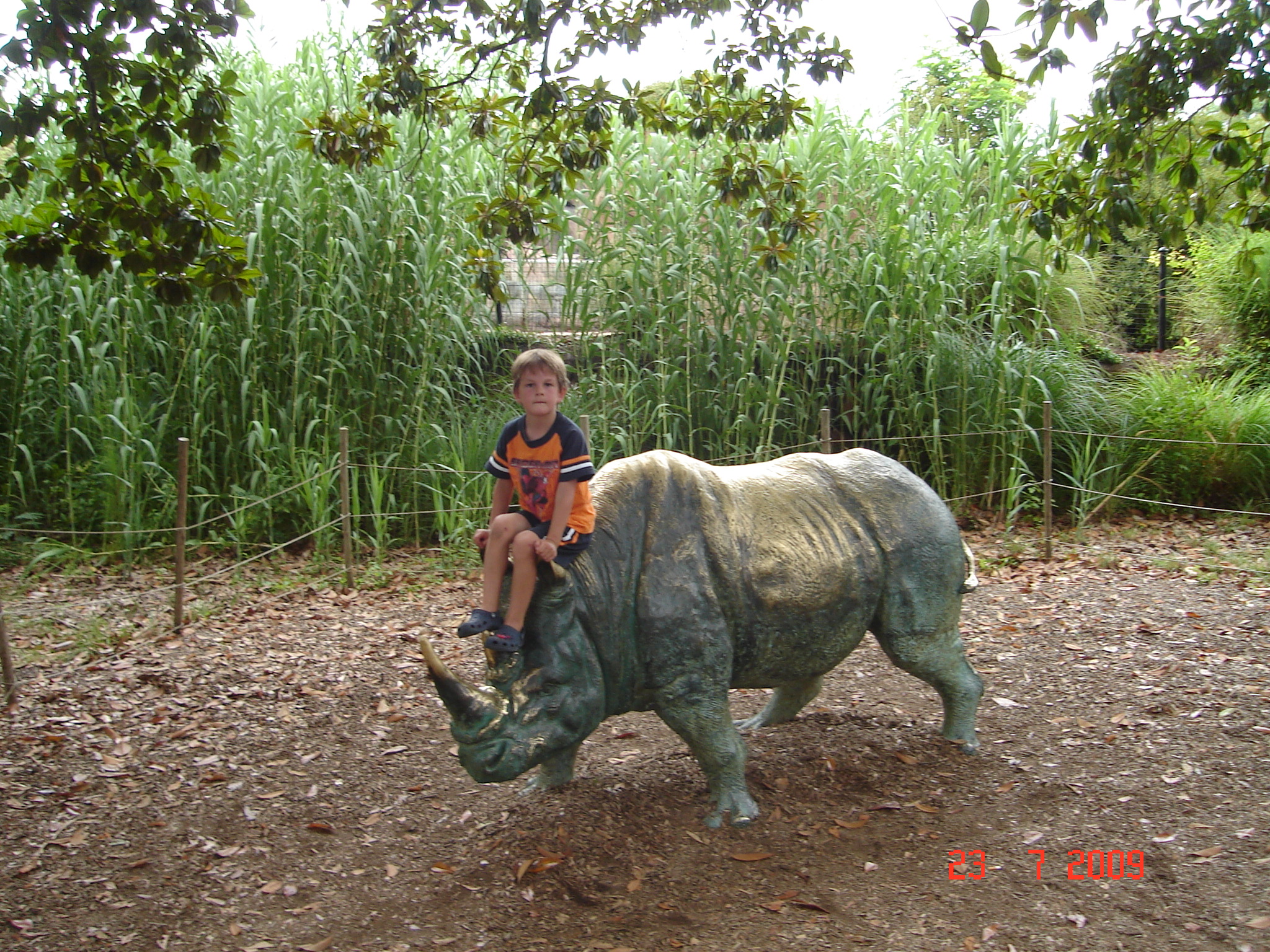 Olivier et le rhinocéros